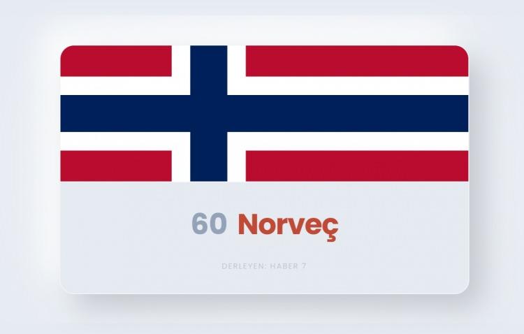 <p><span style="color:#B22222"><strong>60)&nbsp; NORVE&Ccedil;</strong></span></p>
