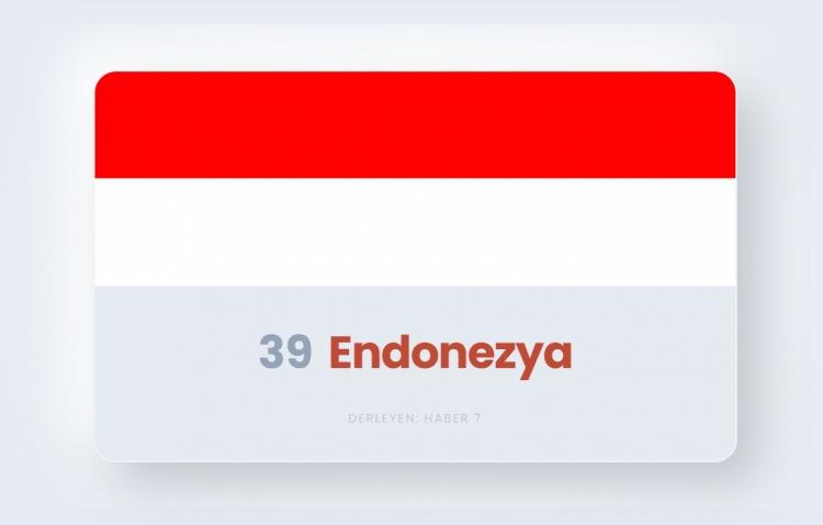 <p><span style="color:#B22222"><strong>39)&nbsp; ENDONEZYA</strong></span></p>
