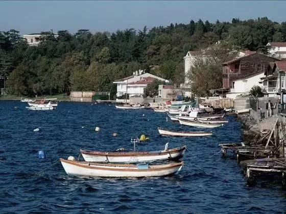 <p><strong>PAŞABAH&Ccedil;E-BEYKOZ &Ccedil;UKURU</strong></p>

<p>&nbsp;</p>
