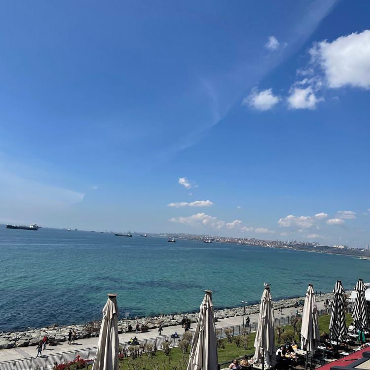 <p><strong>FLORYA</strong></p>

<p>&nbsp;</p>

<p>&nbsp;</p>
