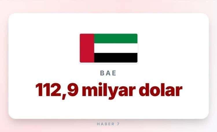 <p><span style="color:#B22222"><strong>19)&nbsp; BİRLEŞİK ARAP HAREKATI</strong></span></p>

