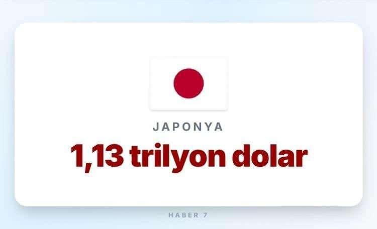 <p><span style="color:#B22222"><strong>1)&nbsp; JAPONYA</strong></span></p>

