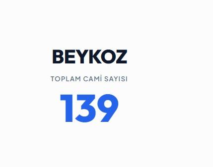 <p><strong>BEYKOZ&nbsp;</strong></p>
