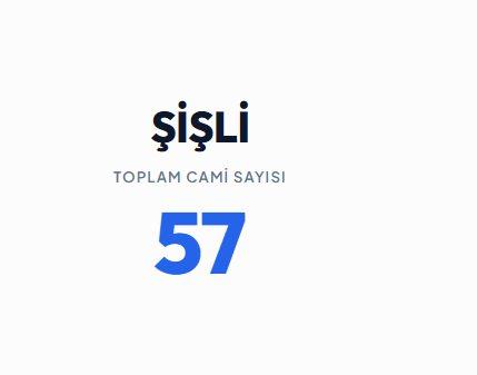 <p><strong>ŞİŞLİ&nbsp;</strong></p>

