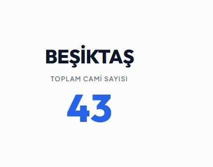 <p><strong>BEŞİKTAŞ</strong>&nbsp;</p>
