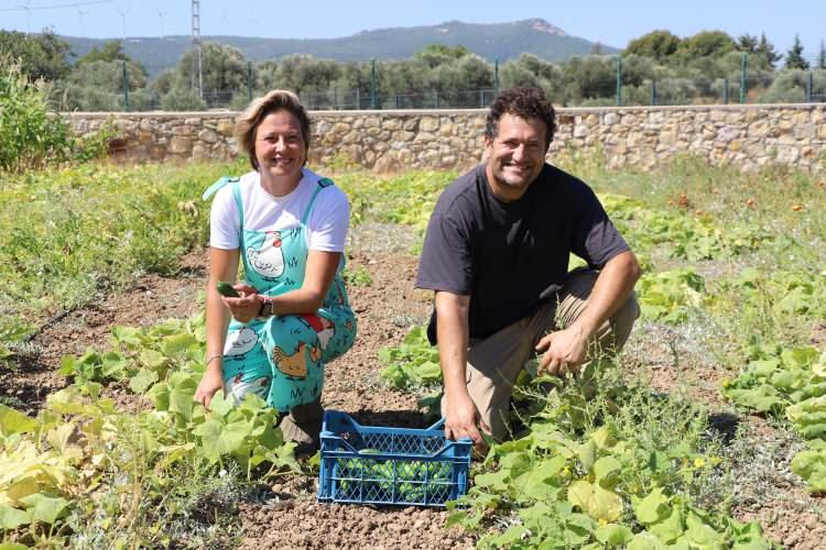 <p>İzmir'de yaşayan ve kurumsal kariyerlerini verim almaya başladıkları d&ouml;nemde bırakan Sırma (39) ve Bekir G&ouml;k (41) &ccedil;ifti, Fo&ccedil;a il&ccedil;esinde &ccedil;iftlik kurdu.<span style="color:#A52A2A"><strong><em> İşte G&ouml;k &ccedil;iftinin, &ouml;nce şaşırtan sonra ise hak verdiren kararlarının hik&acirc;yesi...</em></strong></span></p>
