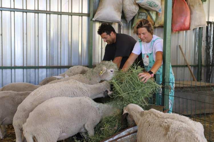 <p>Yurt dışında uluslararası ticaret alanında eğitim aldığını, ardından T&uuml;rkiye'ye d&ouml;nerek 10 sene beyaz yakalı olarak &ccedil;alıştığını s&ouml;yleyen Sırma G&ouml;k, &ccedil;ocuklarının doğumundan sonra &ccedil;iftliği almaya karar verdiklerini belirtti.</p>
