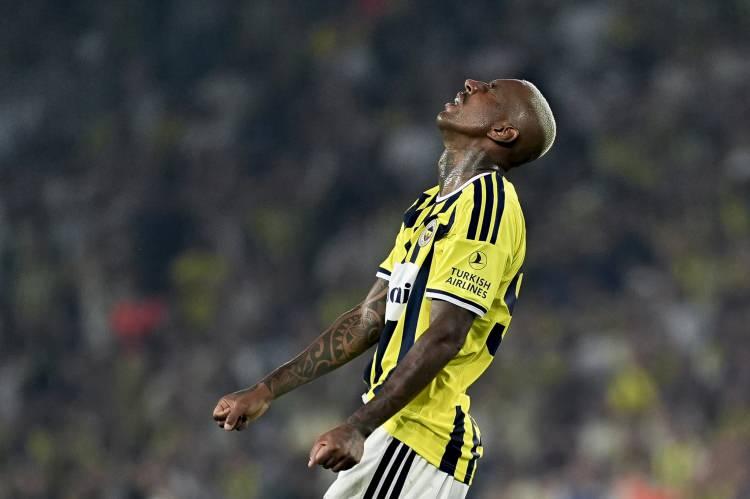 <p>FORVET: TALISCA</p>
