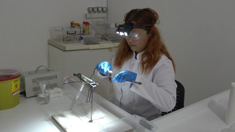 <p>Er, projeyi kendi imkanlarıyla hayata ge&ccedil;irdiklerini s&ouml;zlerine ekledi.&nbsp;</p>

<p>&nbsp;</p>

<p>Merkezde y&uuml;r&uuml;t&uuml;lecek AR-GE &ccedil;alışmalarının tamamlanmasıyla elde edilecek akrep zehrinin farklı bilimsel ve teknolojik alanlarda değerlendirilmesi hedefleniyor.</p>

<p>&nbsp;</p>

<p><span style="color:#A52A2A"><strong><em>Kaynak: İHA&nbsp;</em></strong></span></p>
