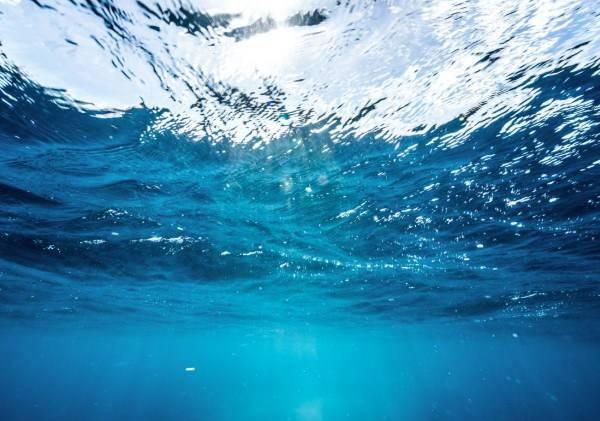 <p>Araştırmacılar, deneyin deniz canlıları &uuml;zerindeki olası etkilerini de inceledi. Deney alanının i&ccedil;inden ve dışından alınan &ouml;rneklerde bakteri, fitoplankton, zooplankton ile balık ve ıstakoz larvaları karşılaştırıldı.</p>

<p>&nbsp;</p>
