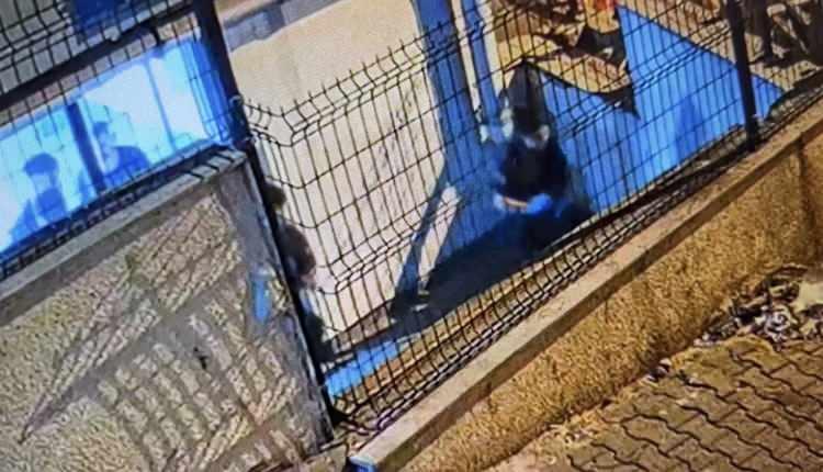 <p>Akşam saatlerinde rezidansa geldiği &ouml;ğrenilen Oğul'un saat 05.00 sıralarında 14&rsquo;&uuml;nc&uuml; kattaki dairenin balkonundan binanın arka b&ouml;l&uuml;m&uuml;ndeki avluya d&uuml;şt&uuml;ğ&uuml; belirlendi.</p>
