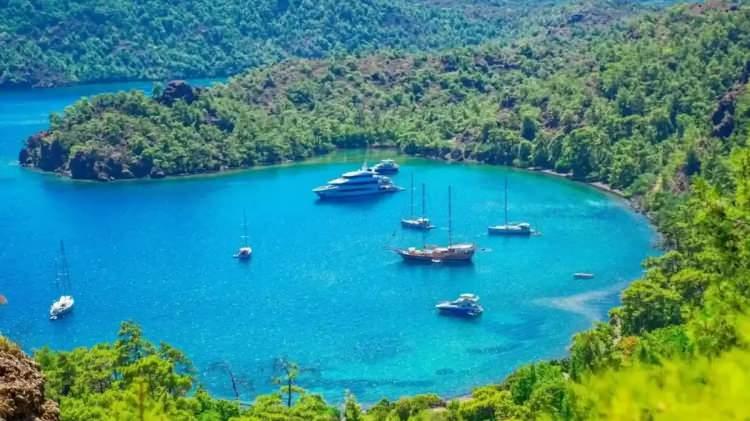 <p><strong>52. MUĞLA: 667 bin 264</strong></p>
