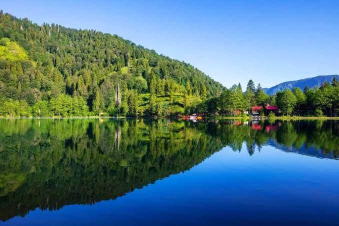 <p><span style="color:#B22222"><strong>ARTVİN</strong></span></p>

<p>Karadeniz&rsquo;in en vahşi ve en b&uuml;y&uuml;leyici doğasına sahip olan Artvin, dağların ve yaylaların arasında kaybolmak isteyenler i&ccedil;indir.</p>
