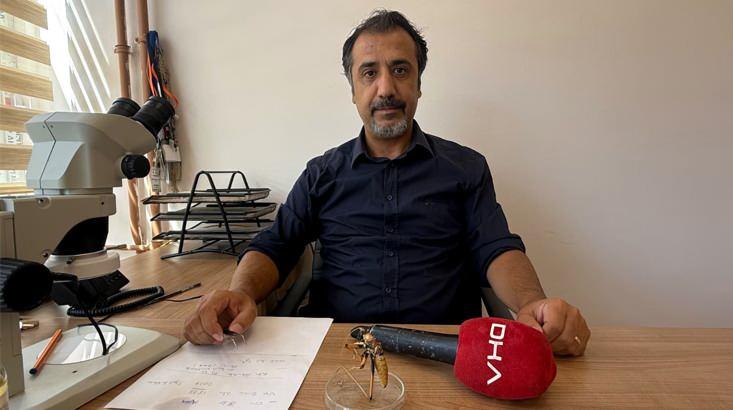 <p>'TARIM ALANLARINDAKİ ZARARLI B&Ouml;CEKLERLE BESLENİYOR'</p>

<p>&Ccedil;ekirgelerin insanlara veya bitkilere zarar verdiği y&ouml;n&uuml;ndeki endişelerin yersiz olduğunu ifade eden Prof. Dr. Taylan, "&Ouml;zellikle &ccedil;ift&ccedil;i arkadaşlarımızın bu canlıyla ilgili 'İnsana zarar verir, bitkilere zarar verir' gibi d&uuml;ş&uuml;ncelerden uzaklaşmalarını &ouml;neriyorum. Bu canlı tamamen avcı, yani predat&ouml;r bir canlıdır. Tarım alanlarındaki zararlı b&ouml;ceklerle beslendiği i&ccedil;in ekosistem a&ccedil;ısından &ouml;nemli ve faydalı bir role sahiptir" dedi.</p>
