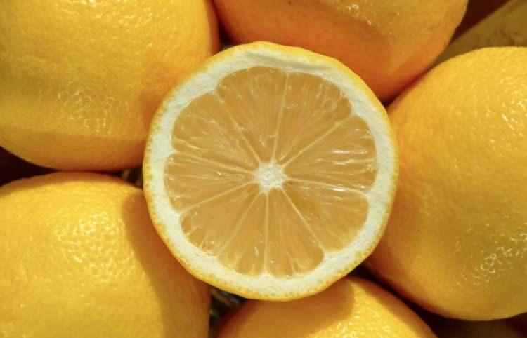 <p>İyi yıkanmış limonlar kabuğuyla birlikte dondurulduğunda kabuk da kullanılabilir. Limon kabuğunda flavonoidler ve u&ccedil;ucu yağlar gibi &ccedil;eşitli bitkisel bileşenler bulunuyor.&nbsp;</p>

<p>&nbsp;</p>
