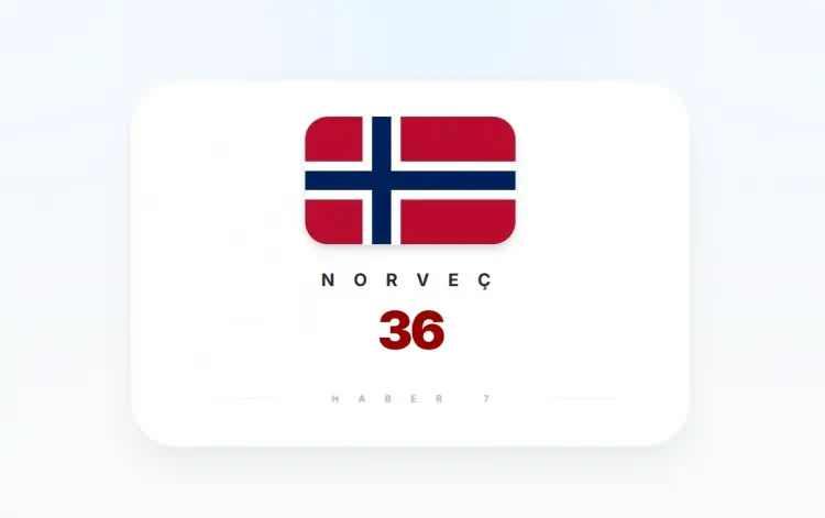 <p><strong>NORVE&Ccedil;&nbsp;</strong></p>
