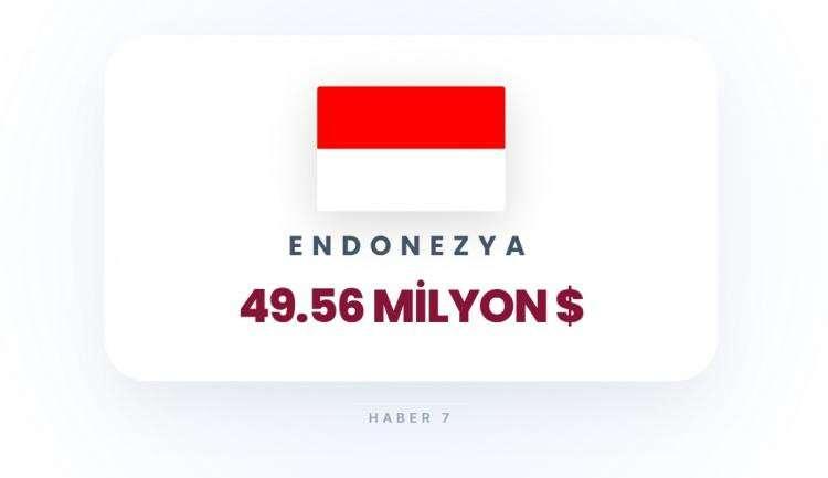 <p><span style="color:#B22222"><strong>ENDONEZYA</strong></span></p>
