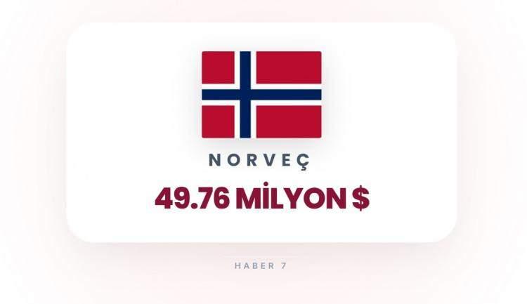 <p><span style="color:#B22222"><strong>NORVE&Ccedil;</strong></span></p>
