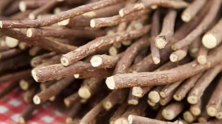 <p>G&uuml;neydoğu&rsquo;nun gastronomi k&uuml;lt&uuml;r&uuml;n&uuml;n par&ccedil;ası olan ve g&uuml;n&uuml;m&uuml;zde de geleneksel y&ouml;ntemlerle hazırlanmaya devam eden meyan k&ouml;k&uuml; şerbeti aromasıyla da hafızlarda yer ediyor.</p>
