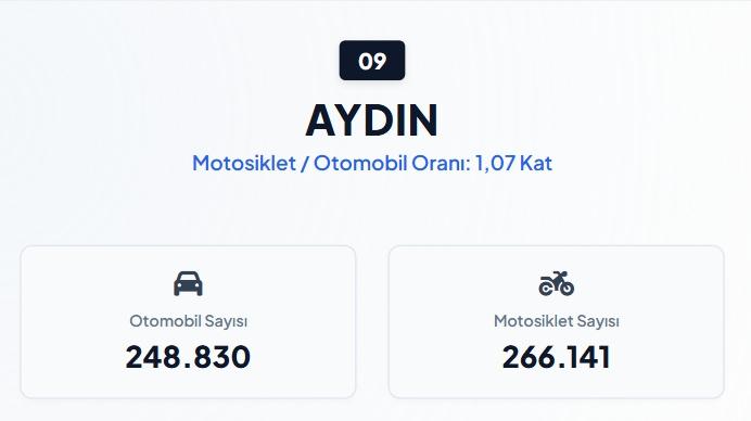 <p><strong>AYDIN&nbsp;</strong></p>
