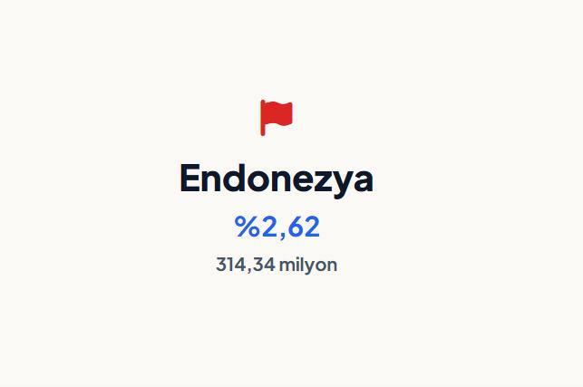 <p><strong>ENDONEZYA&nbsp;</strong></p>
