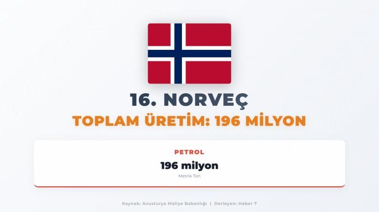 <p><span style="color:#B22222"><strong>16)&nbsp; NORVE&Ccedil;</strong></span></p>
