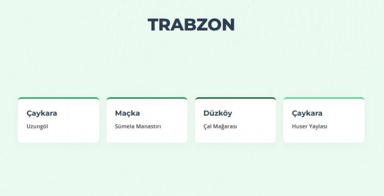 <p><span style="color:#B22222"><strong>TRABZON&nbsp;</strong></span></p>
