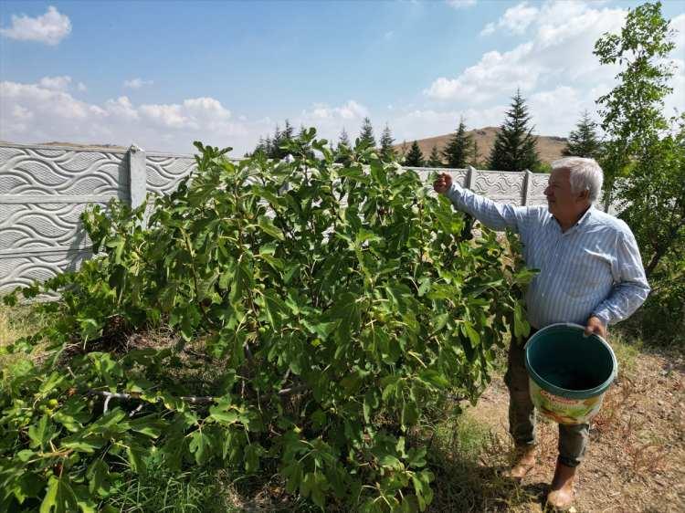 <p><span style="color:#A52A2A"><strong>KIRA&Ccedil; ARAZİYİ EKTİ&nbsp;</strong></span></p>

<p>&nbsp;</p>

<p>Emekli &ouml;ğretmen G&uuml;nd&uuml;z, eşi ve ailesinin desteğiyle &Ccedil;ayırbağ, Beyyazı ve &Ccedil;ıkrık beldelerinin ortasında 15 yıl &ouml;nce satın aldığı, <span style="color:#A52A2A"><strong><em>40-50 yıldır ekilip dikilmeyen kıra&ccedil; bir arazide</em></strong></span> h&uuml;nnap, badem, &uuml;z&uuml;m ve farklı t&uuml;rden fidanlar dikti.&nbsp;&nbsp;</p>
