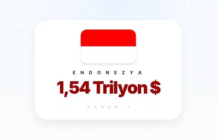 <p><span style="color:inherit"><span style="color:rgb(178, 34, 34)"><strong>2)&nbsp; ENDONEZYA</strong></span></span></p>

<p>&nbsp;</p>
