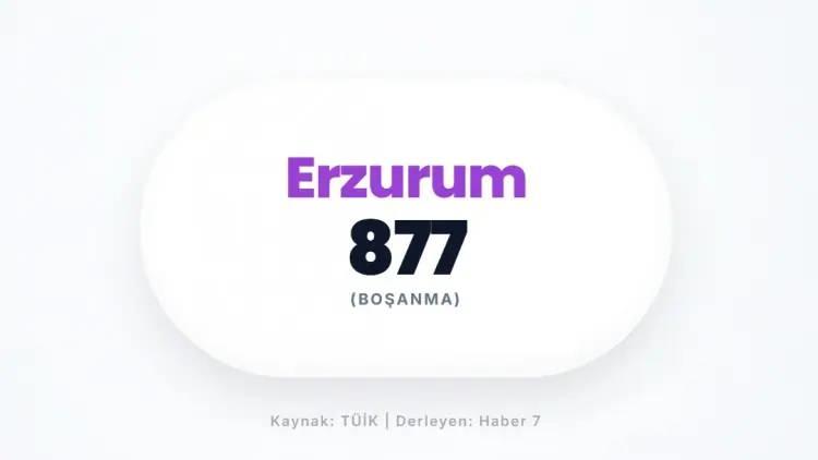<p>ERZURUM&nbsp;</p>
