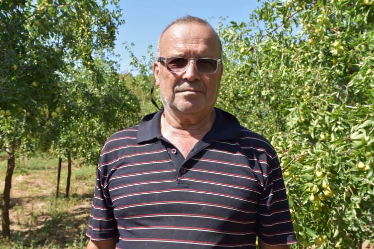 <div>Kenan Kırca, h&uuml;nnap yetiştiriciliğine yaklaşık 15 yıl &ouml;nce başladığını belirterek, "Bir b&uuml;y&uuml;k ağabeyimiz fidan getirmişti. Onun &ouml;nerisi ve katkısıyla bah&ccedil;emize dikmeye başladık. &Ouml;nce birka&ccedil; tane diktik, daha sonra &ccedil;oğalttık." dedi.</div>

<div>&nbsp;</div>

<div>Yaklaşık 1,5 d&ouml;n&uuml;m alanda 120 h&uuml;nnap ağacı bulunduğu bilgisini veren Kırca, ağa&ccedil;ların &uuml;&ccedil;&uuml;nc&uuml; yaşından sonra &uuml;r&uuml;n vermeye başladığını s&ouml;yledi.</div>

<div>&nbsp;</div>

<div>Hasat d&ouml;neminin yaklaşık bir ay s&uuml;rd&uuml;ğ&uuml;n&uuml; aktaran Kırca, h&uuml;nnapların aynı anda olgunlaşmadığını, &uuml;r&uuml;nlerin peyderpey toplandığını kaydetti.</div>

<div>&nbsp;</div>
