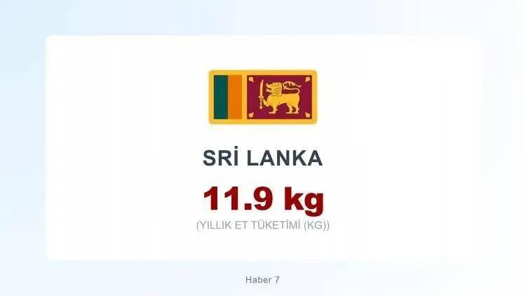 <p><span style="color:#B22222"><strong>SRİ LANKA&nbsp;</strong></span></p>
