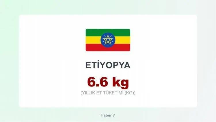 <p><span style="color:#B22222"><strong>ETİYOPYA&nbsp;</strong></span></p>
