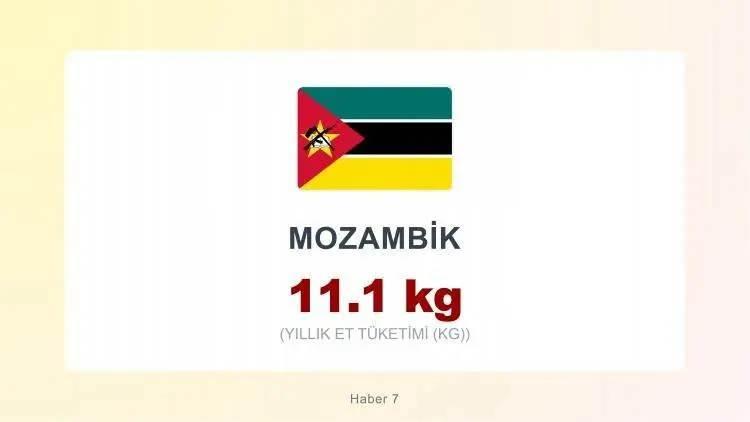 <p><span style="color:#B22222"><strong>MOZAMBİK&nbsp;</strong></span></p>
