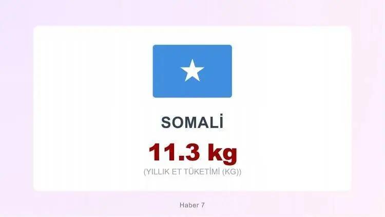 <p><span style="color:#B22222"><strong>SOMALİ&nbsp;</strong></span></p>
