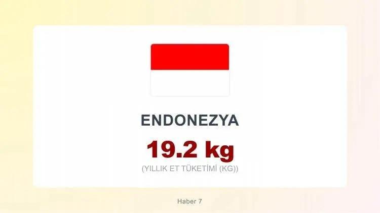 <p><span style="color:#B22222"><strong>ENDONEZYA&nbsp;</strong></span></p>
