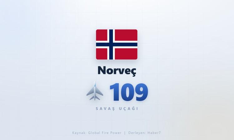 <p><span style="color:#B22222"><strong>NORVE&Ccedil;</strong></span></p>
