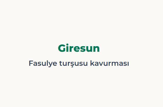 <p><span style="color:#B22222"><strong>GİRESUN</strong></span></p>

<p>&nbsp;</p>

<p><span style="color:#B22222"><strong>FASULYE TURŞUSU KAVURMASI</strong></span></p>
