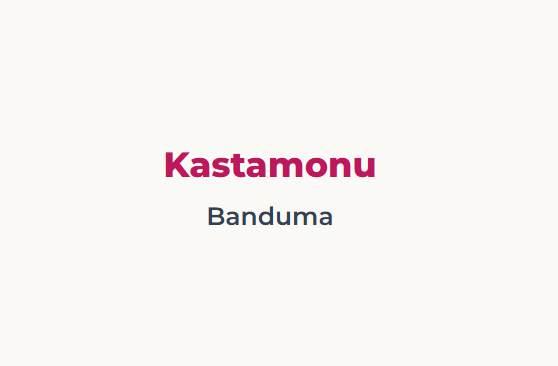 <p><span style="color:#B22222"><strong>KASTAMONU&nbsp;</strong></span></p>

<p>Hindi/tavuk eti ve yufkanın yoğun birleşimi</p>
