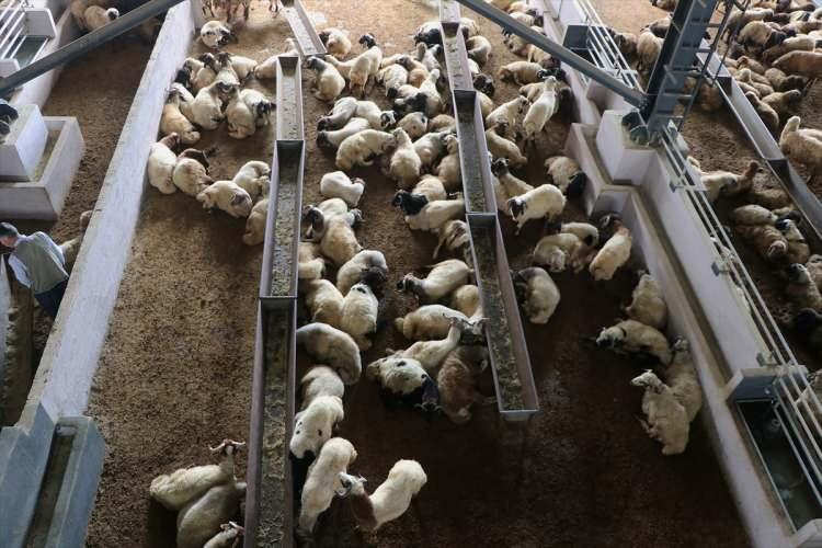 <p>Anne, baba ve 10 kardeşten oluşan aile, ellerindeki birikimi kira ve temel ihtiya&ccedil;ları i&ccedil;in harcadı.</p>
