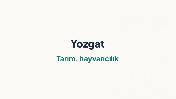 <p><span style="color:#B22222"><strong>YOZGAT&nbsp;</strong></span></p>

