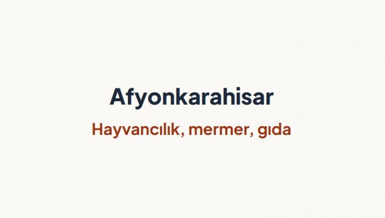 <p><span style="color:#B22222"><strong>AFYONKARAHİSAR&nbsp;</strong></span></p>
