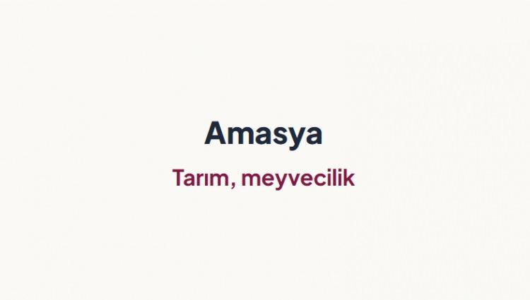 <p><span style="color:#B22222"><strong>AMASYA&nbsp;</strong></span></p>
