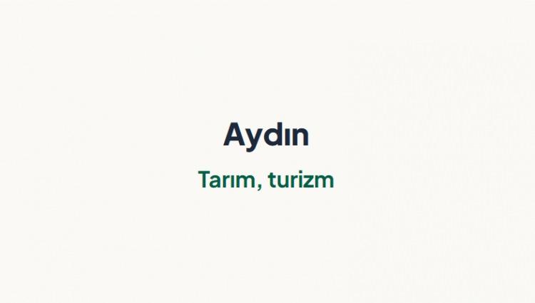<p><span style="color:#B22222"><strong>AYDIN&nbsp;</strong></span></p>
