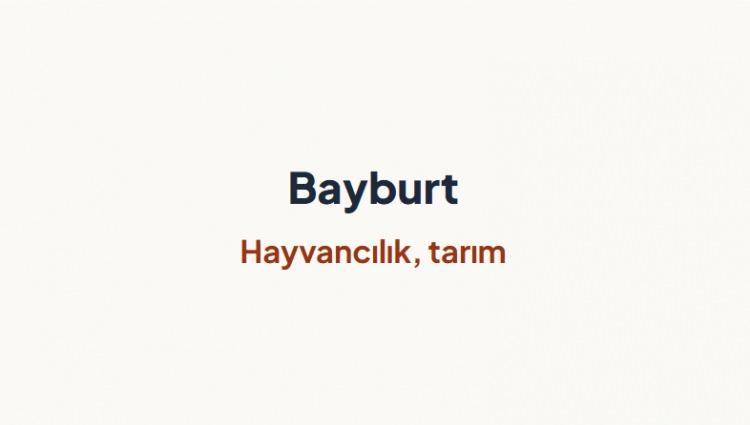 <p><span style="color:#B22222"><strong>BAYBURT&nbsp;</strong></span></p>
