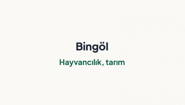 <p><span style="color:#B22222"><strong>BİNG&Ouml;L&nbsp;</strong></span></p>
