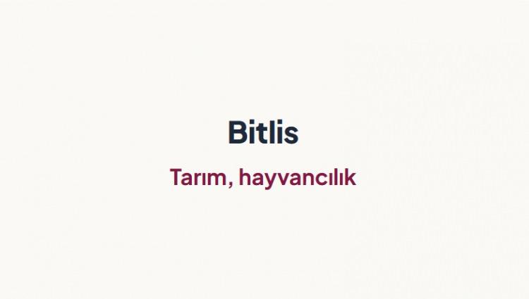 <p><span style="color:#B22222"><strong>BİTLİS&nbsp;</strong></span></p>

