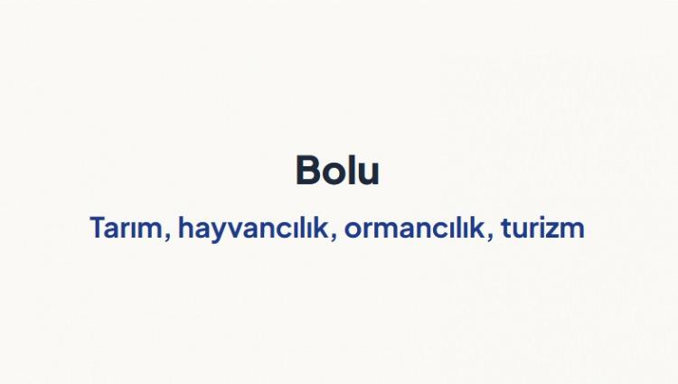 <p><span style="color:#B22222"><strong>BOLU&nbsp;</strong></span></p>
