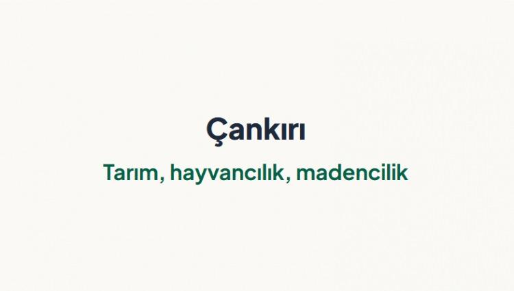 <p><span style="color:#B22222"><strong>&Ccedil;ANKIRI&nbsp;</strong></span></p>
