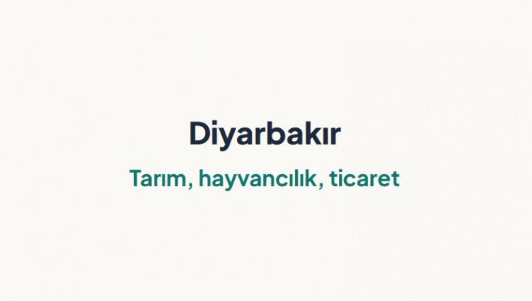 <p><span style="color:#B22222"><strong>DİYARBAKIR&nbsp;</strong></span></p>
